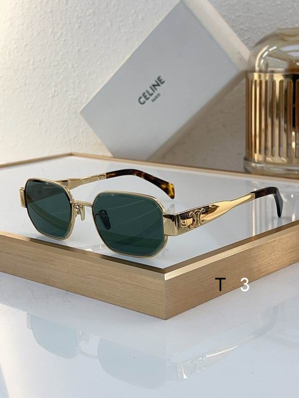 Celine Sunglasses ID:20240804-17